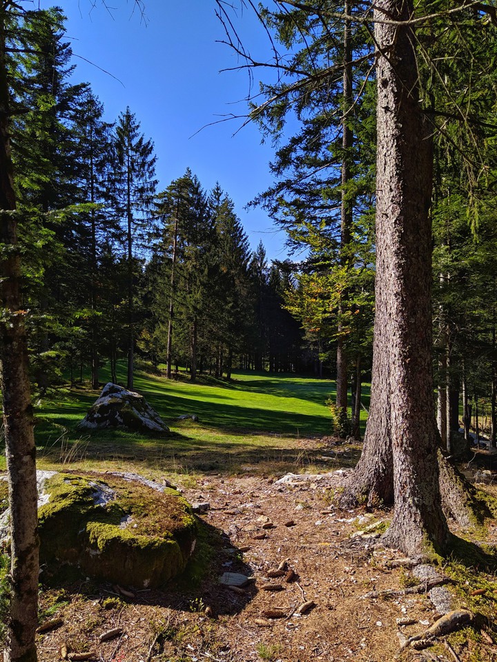 beautiful day