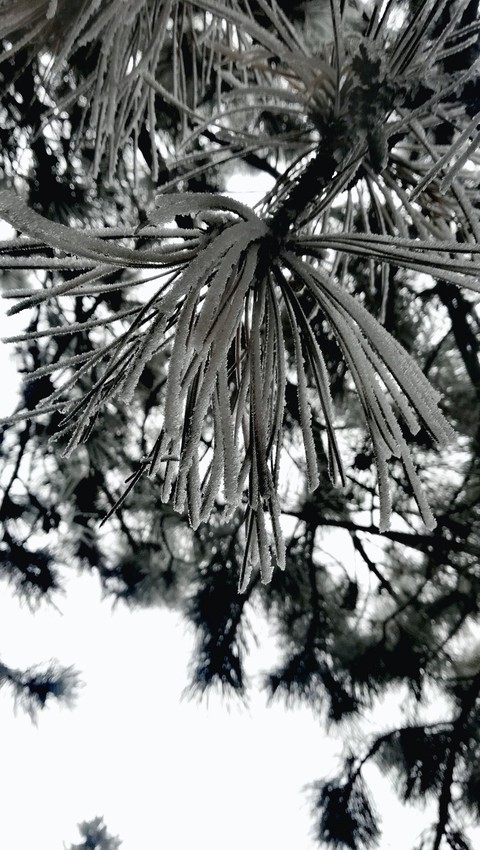 Winter time