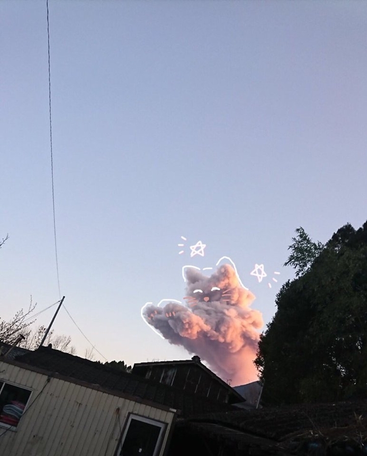 clouthcat