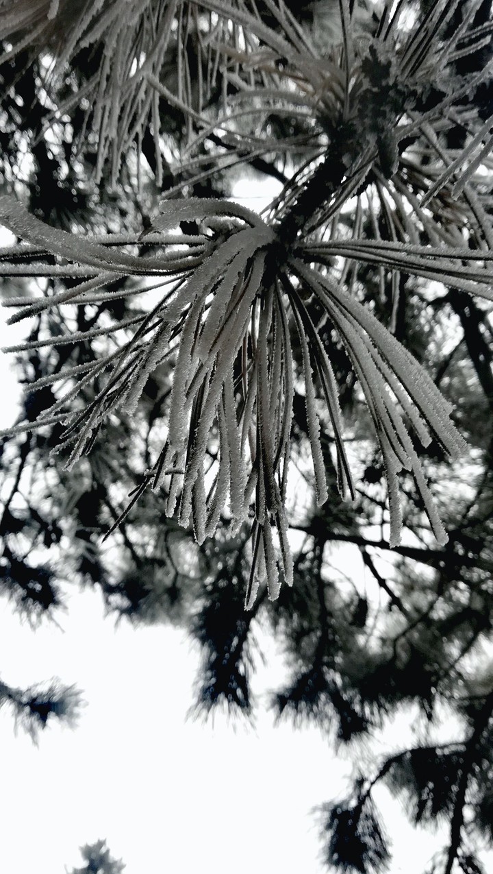 Winter time