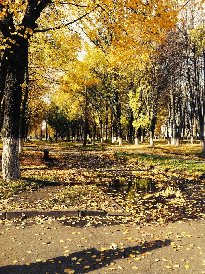 Золотая осень