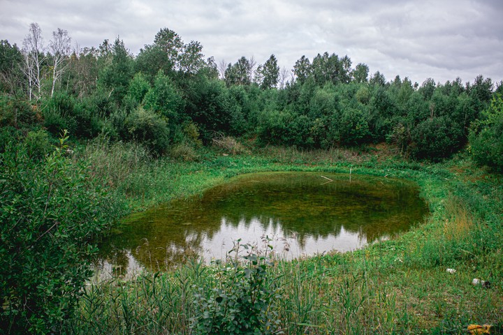 болото