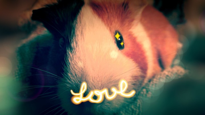 love