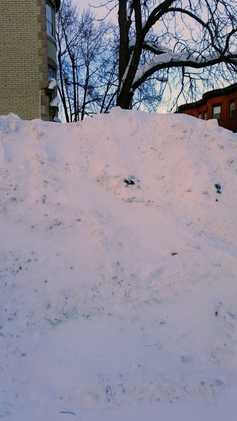 winter, berm वॉलपेपर