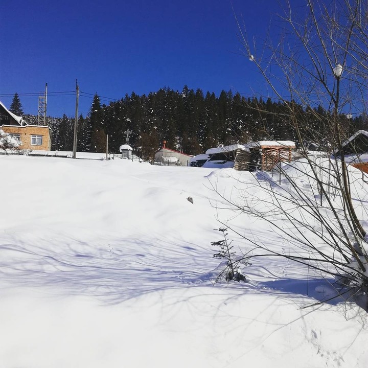 краса