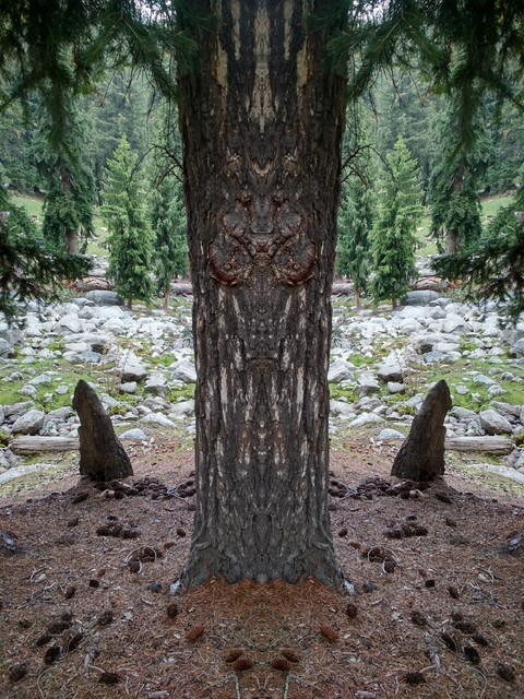 Totem tree