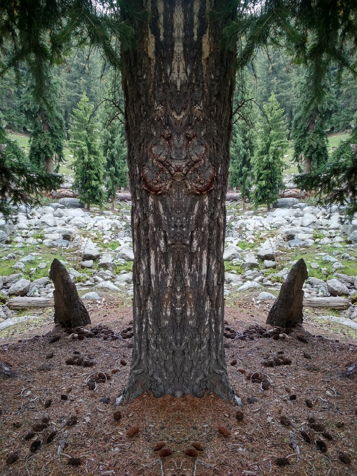 Totem tree