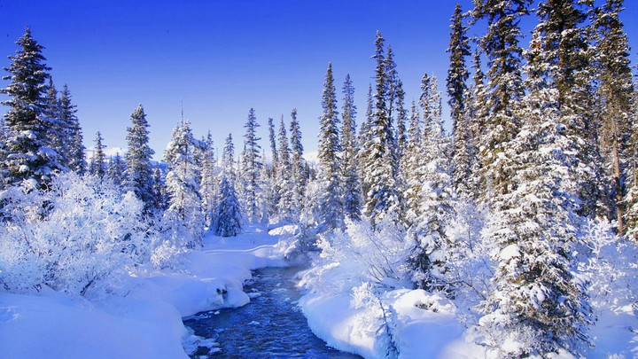Winter