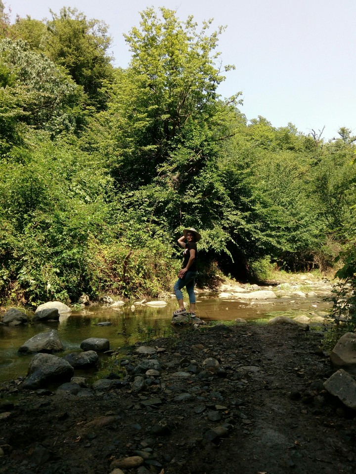 Nature