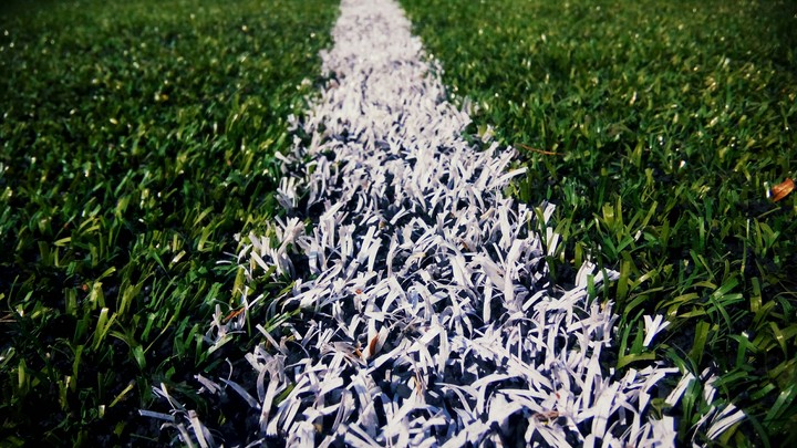 White grass