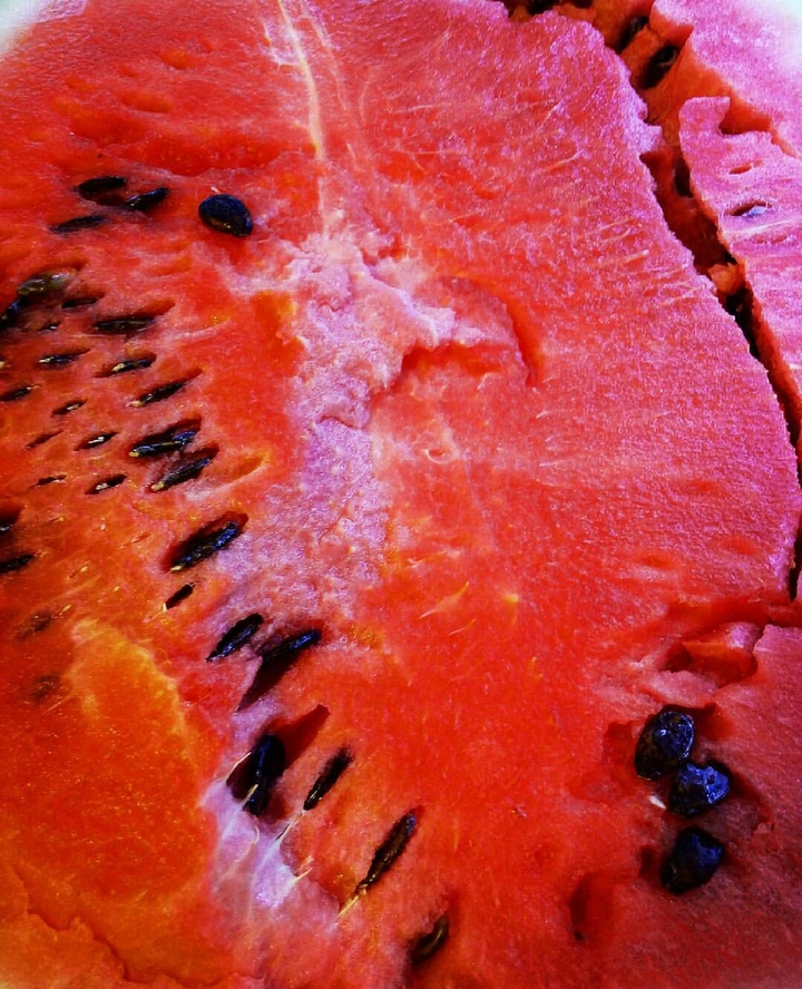 Fruits