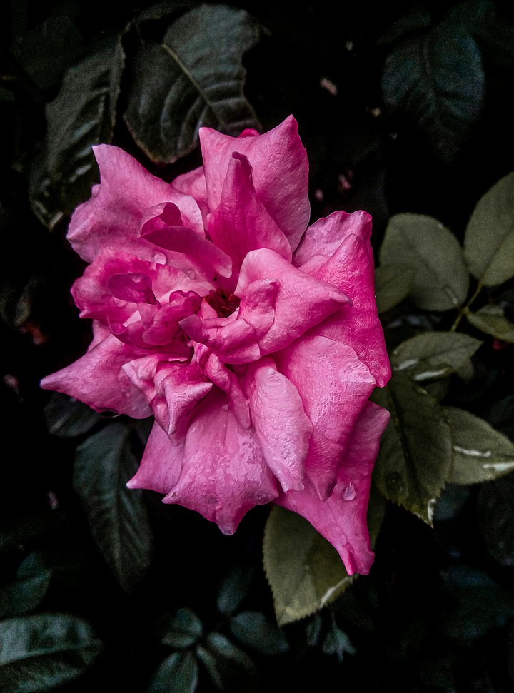 Beauty of Nature