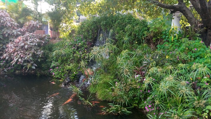 Waterfall in a Pond