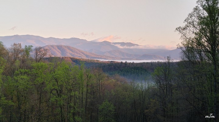 Timber Hideaway View