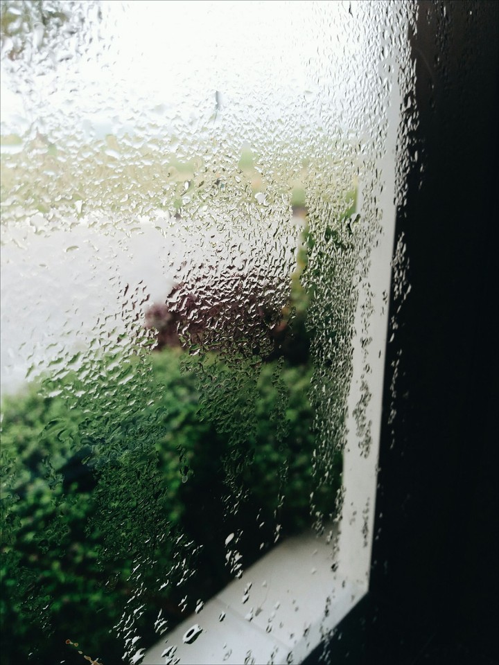 dew