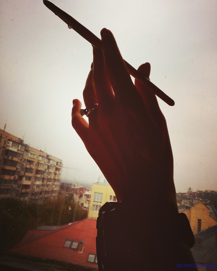 художник
