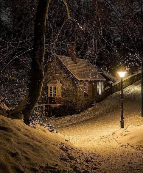 snow, wood wallpapers