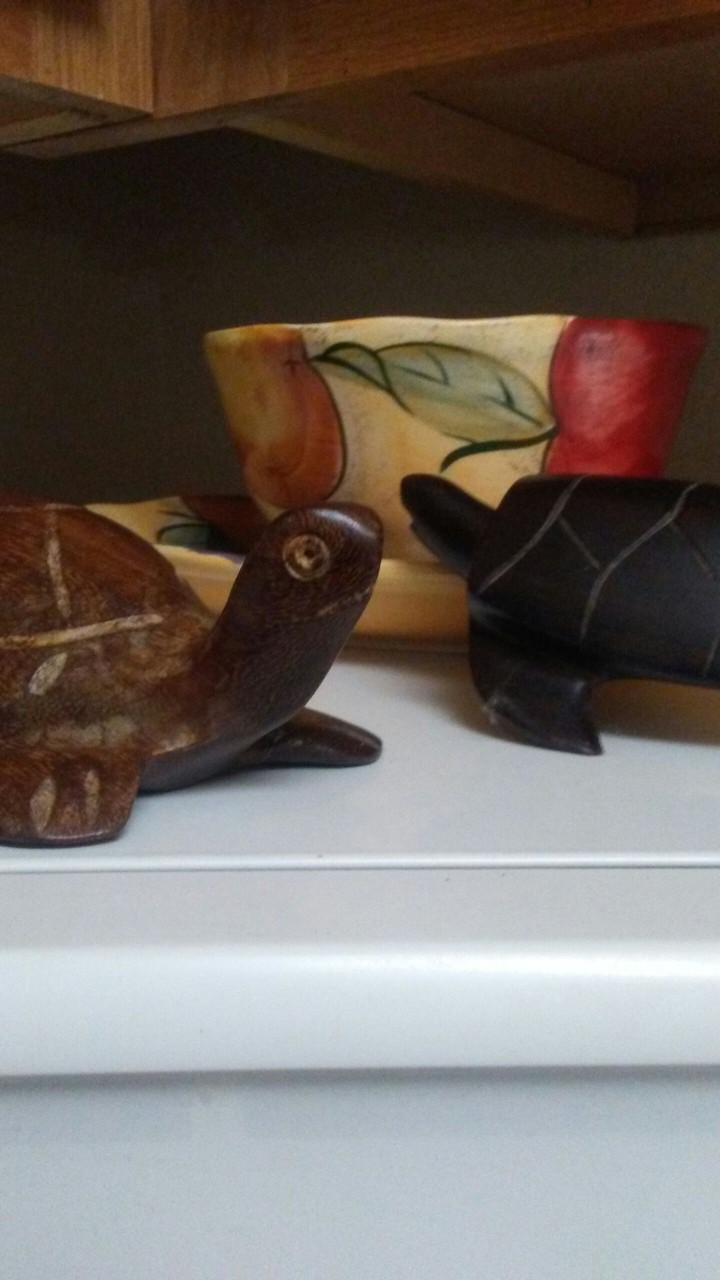 specials Turtles