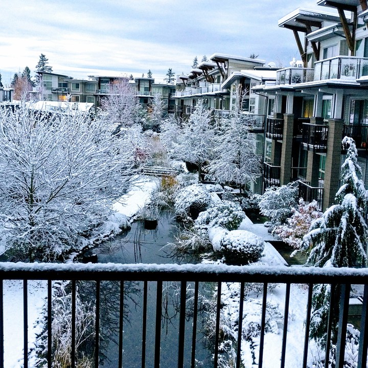snow