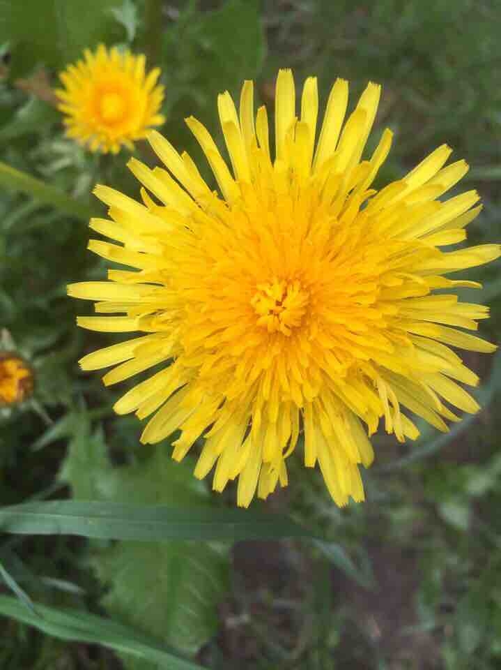 Природа