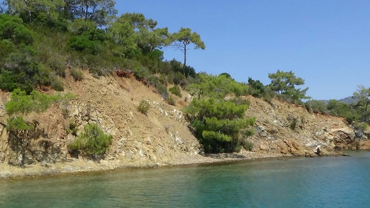 Goat's island