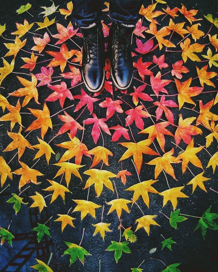 Colors in autumn