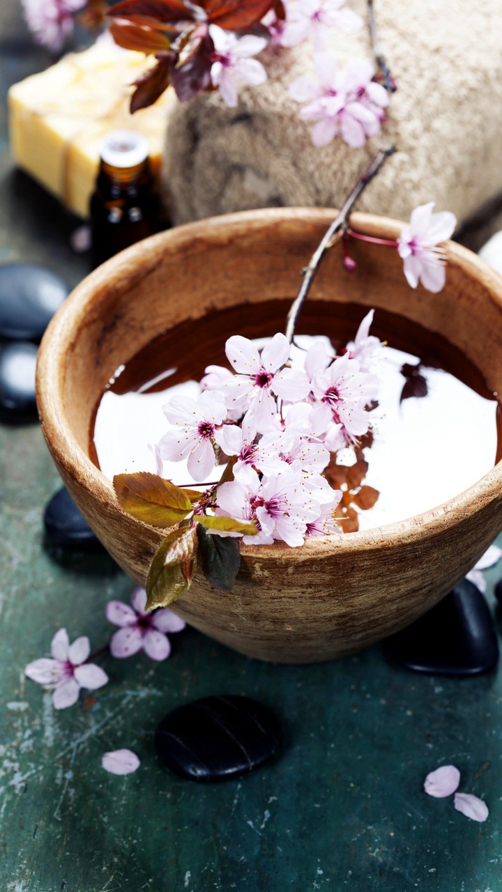 Sakura and water