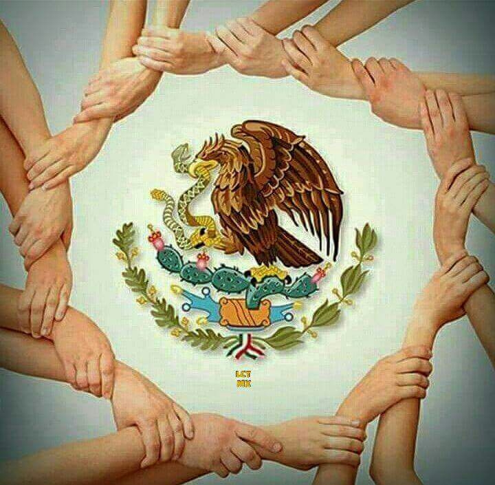 Fuerza México