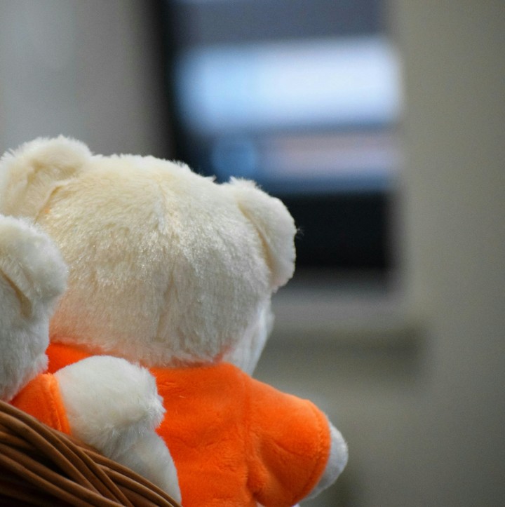 teddy