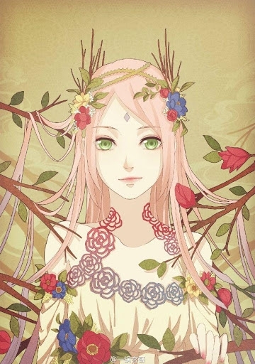 sakura blossom