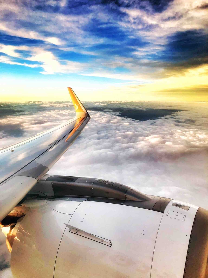 Plane wing view