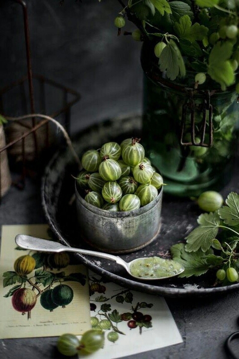 sfondi Ingredient, vegetable