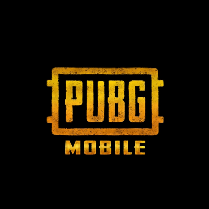 * pubg *
