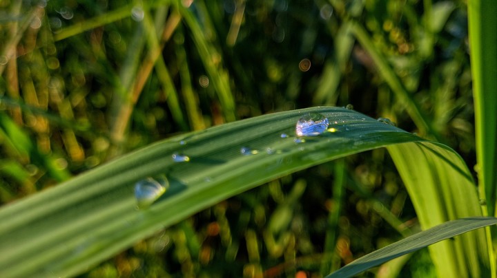 A tear from the sky