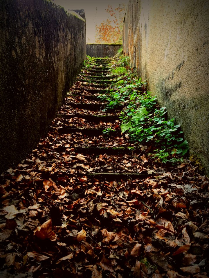 stairs