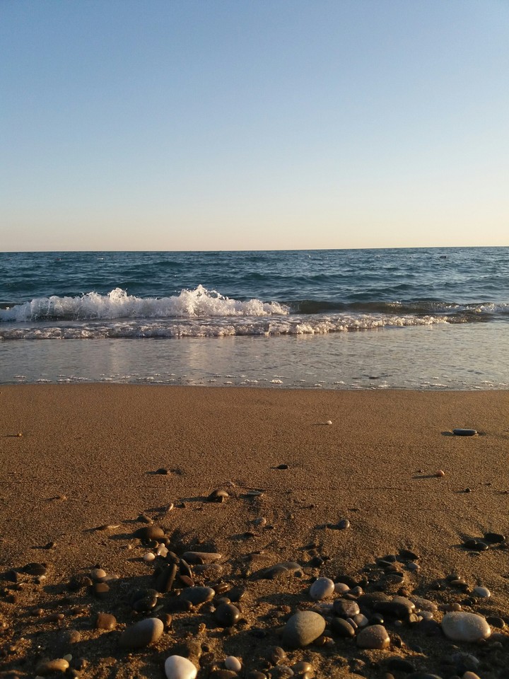 Sea=Love