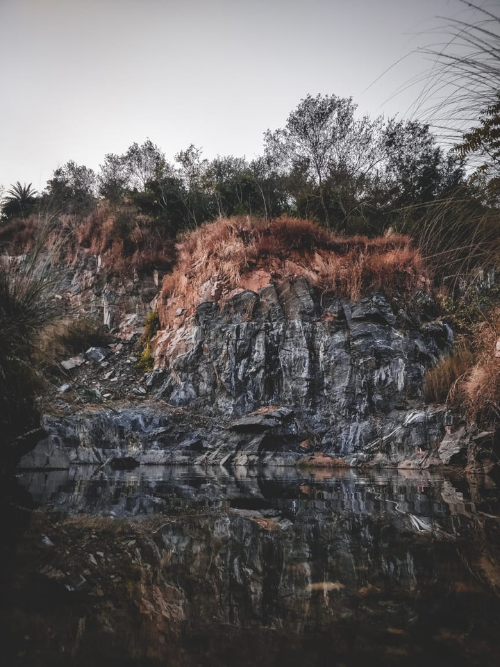 REFLECTIONS