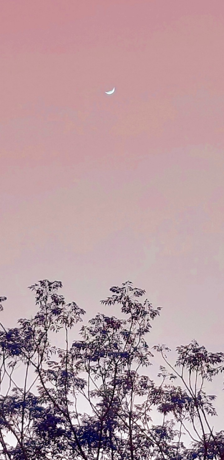 the moon