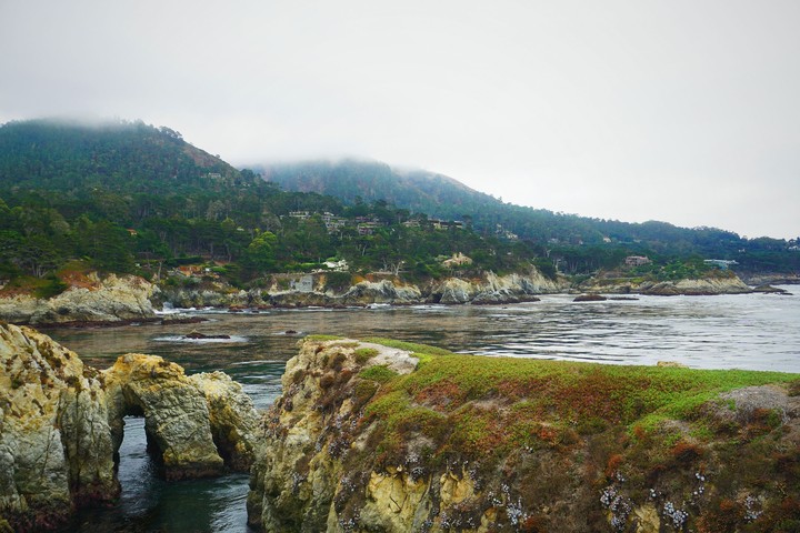 Point Lobos, California