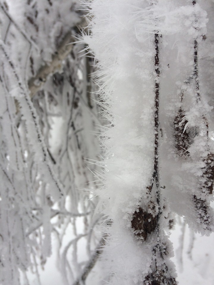 ❄️