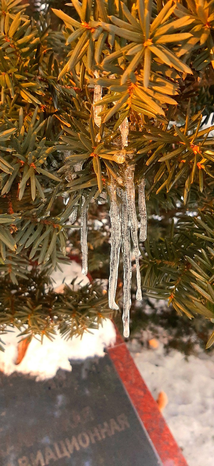 winter