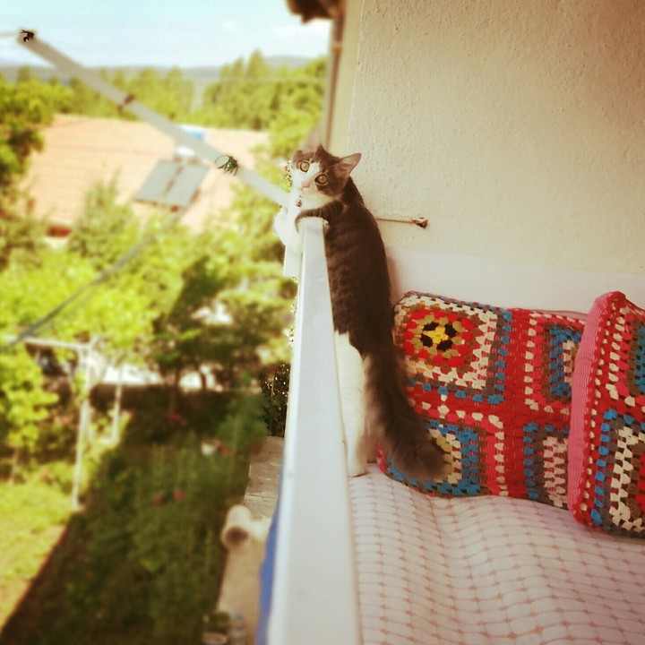 DUMAN YALIN