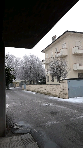 snow snow snow