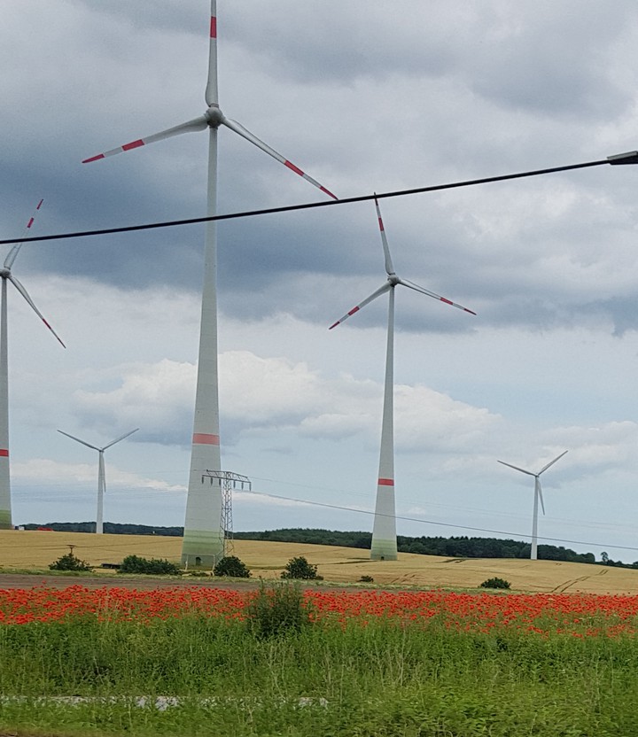 feld