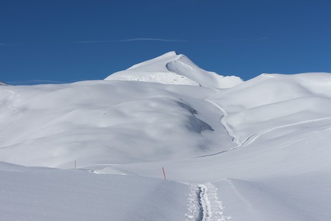 Summit
