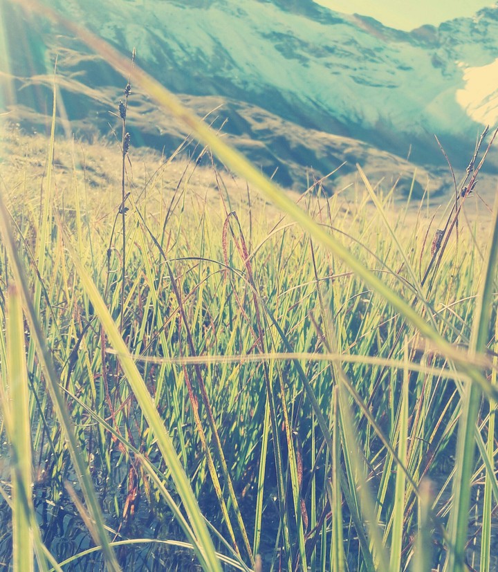 mountain