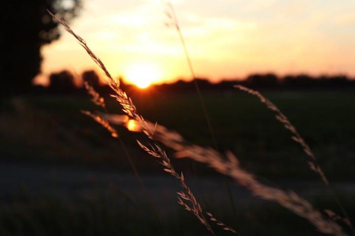 Sonnenuntergang