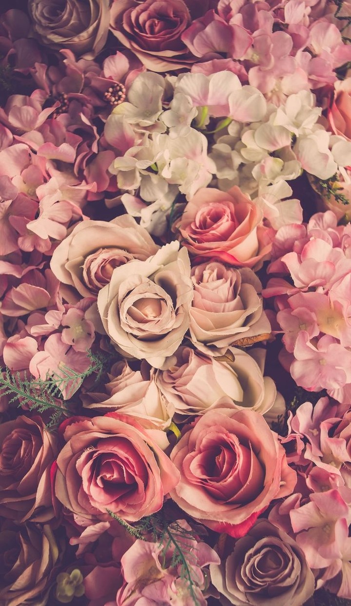Roses