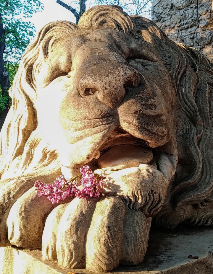 Spring dreams in Lviv