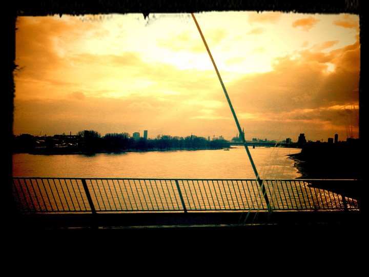 cologne